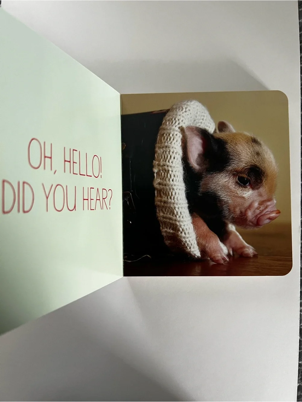Pocket Piggies: Christmas! Board Book by Richard Austin